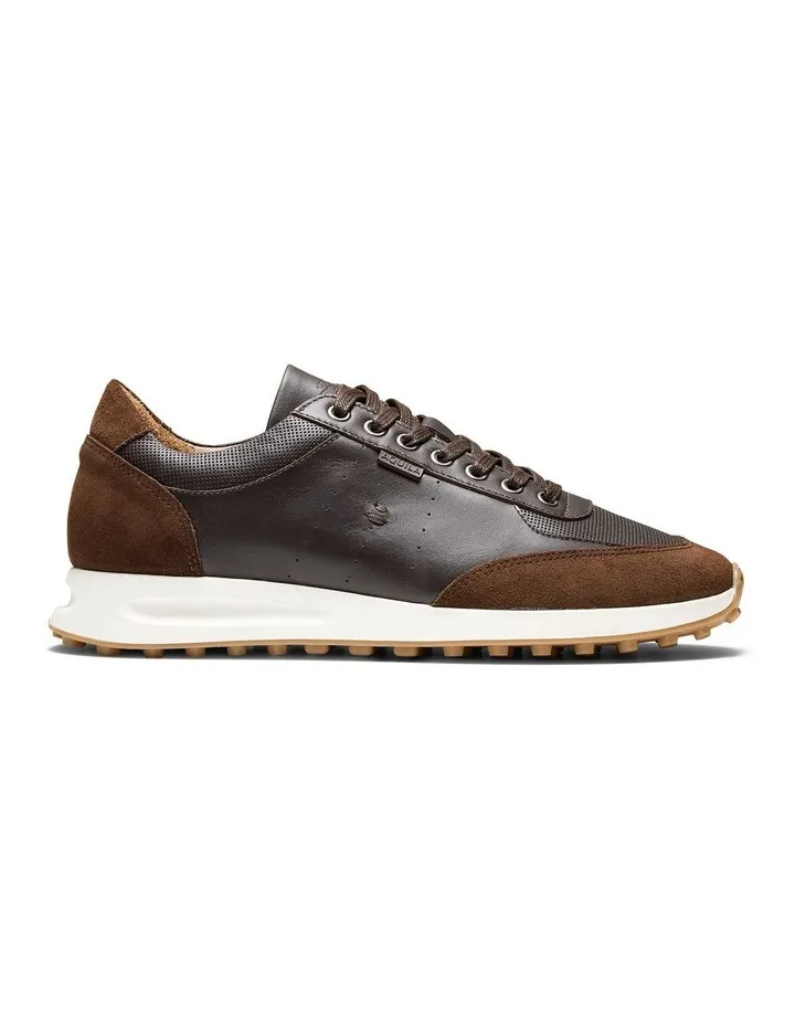 Apollo Sneakers in Dark Brown