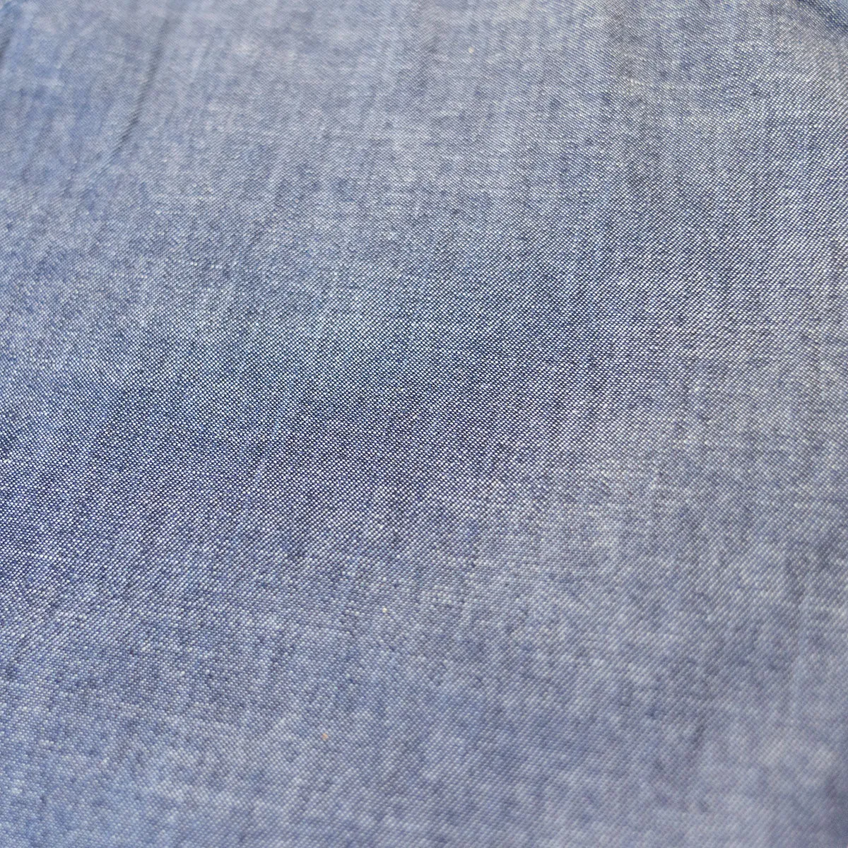 Chambray Shorts